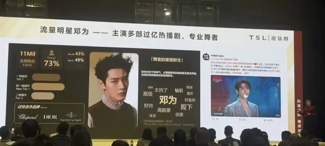 天然钻石协会项目推介会