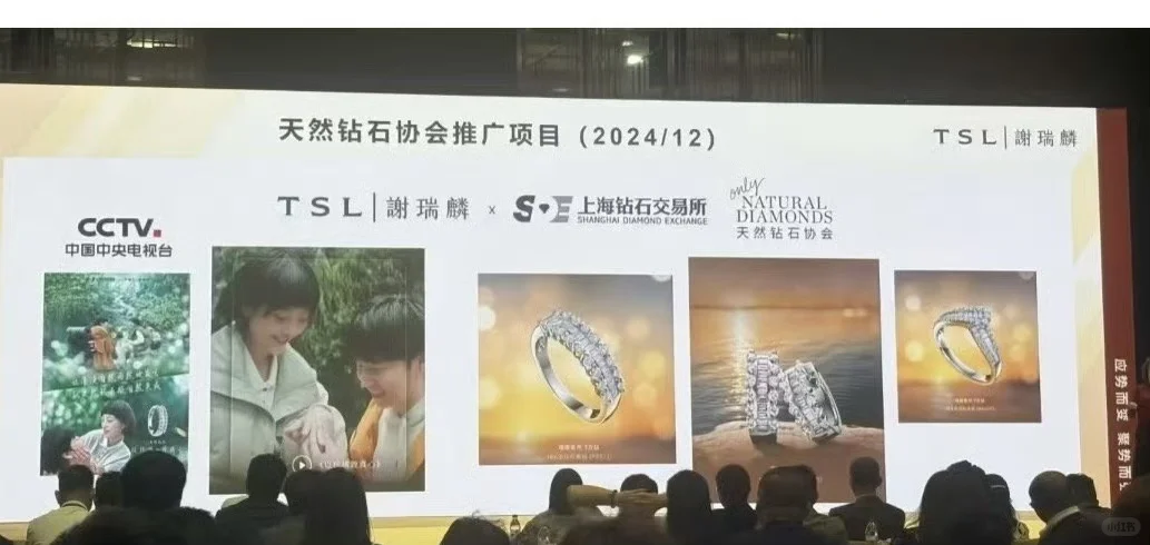 天然钻石协会项目推介会