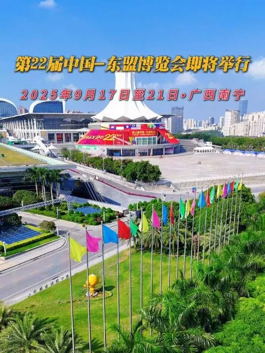 我要去东博会了!!!