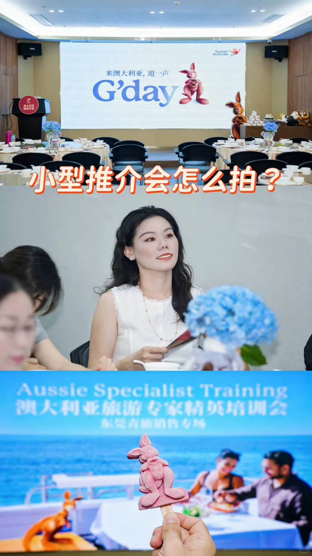 小型推介会怎么拍？