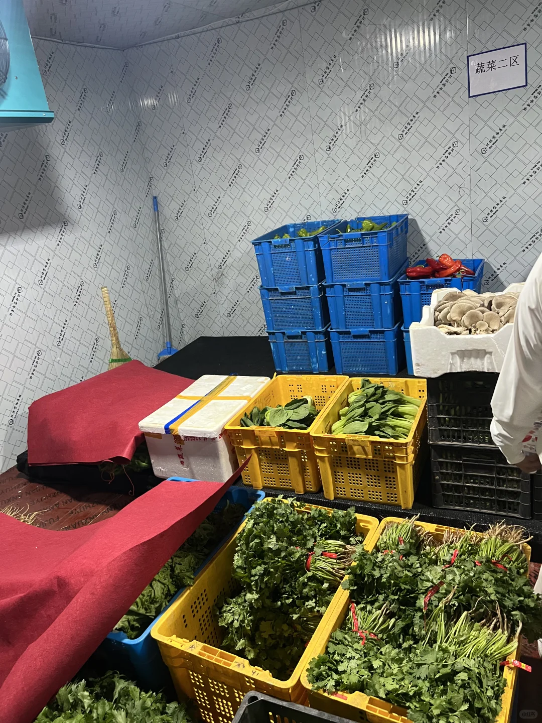 哈尔滨新区幼儿园食堂大宗食材供应场地考察