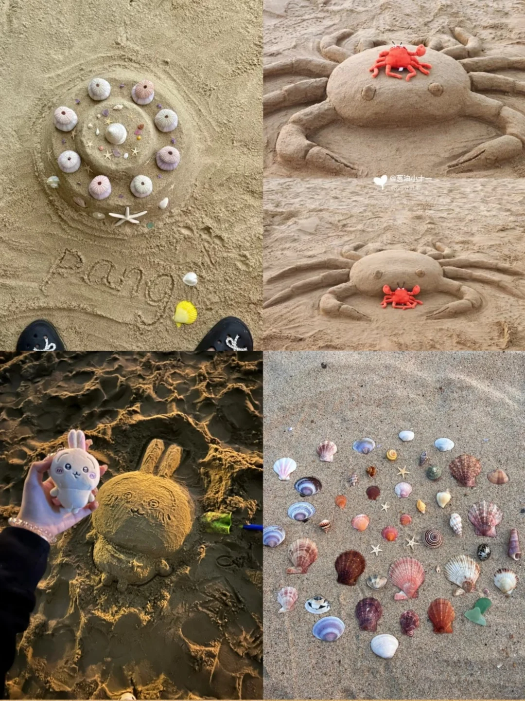 海边搞怪拍照教程|这样拍趣味感拉满!!