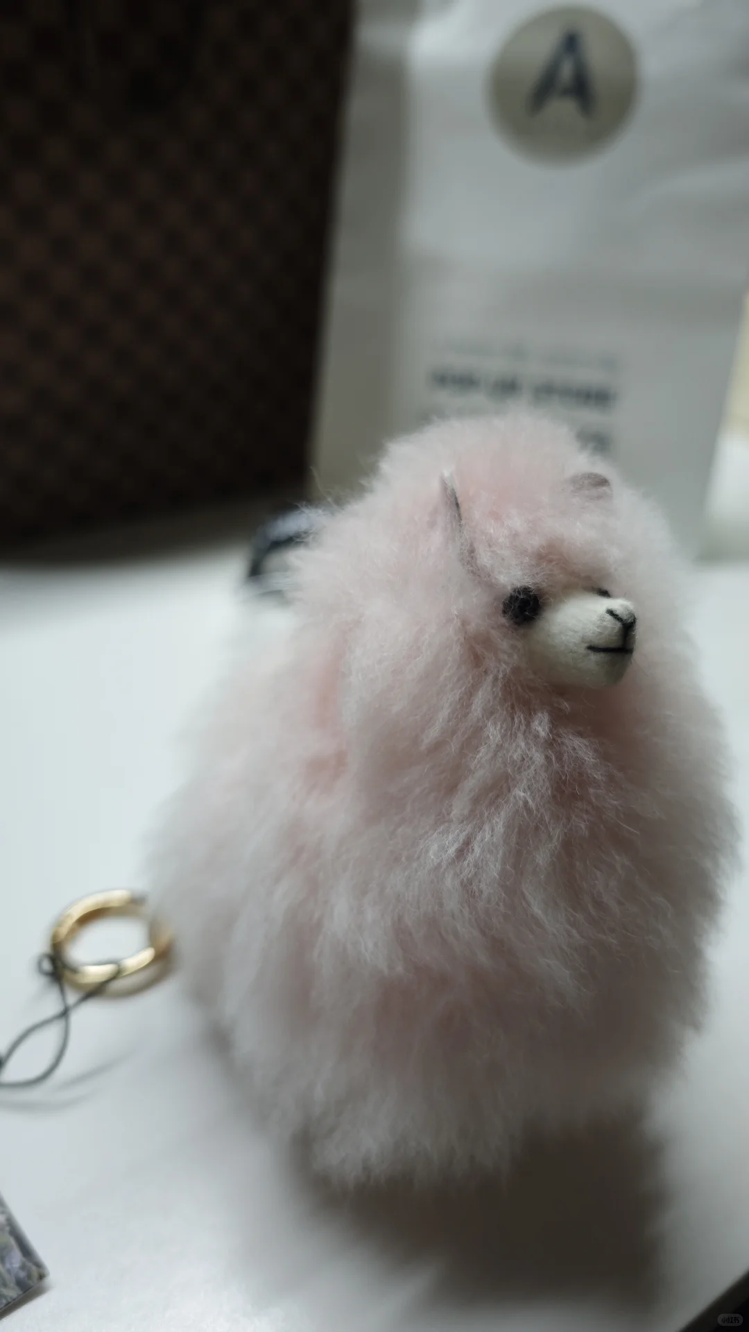 东盟博览会结束啦