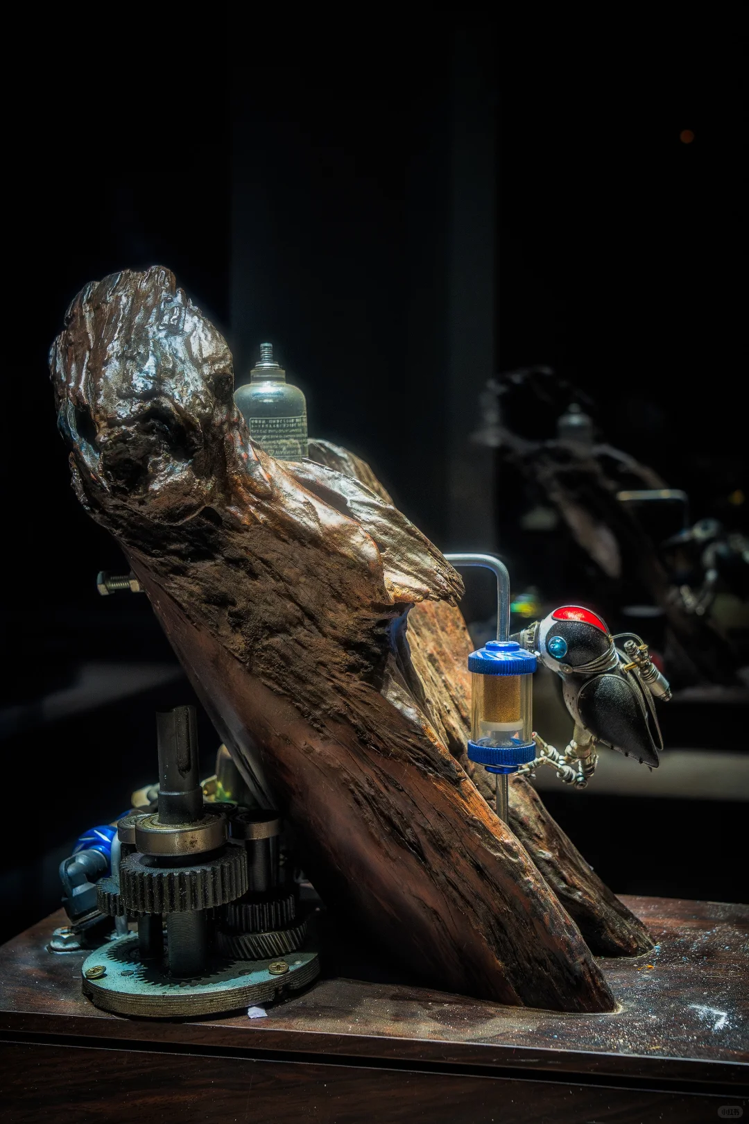 柳州博物馆展览?|蒸汽朋克展览太酷了✨✨