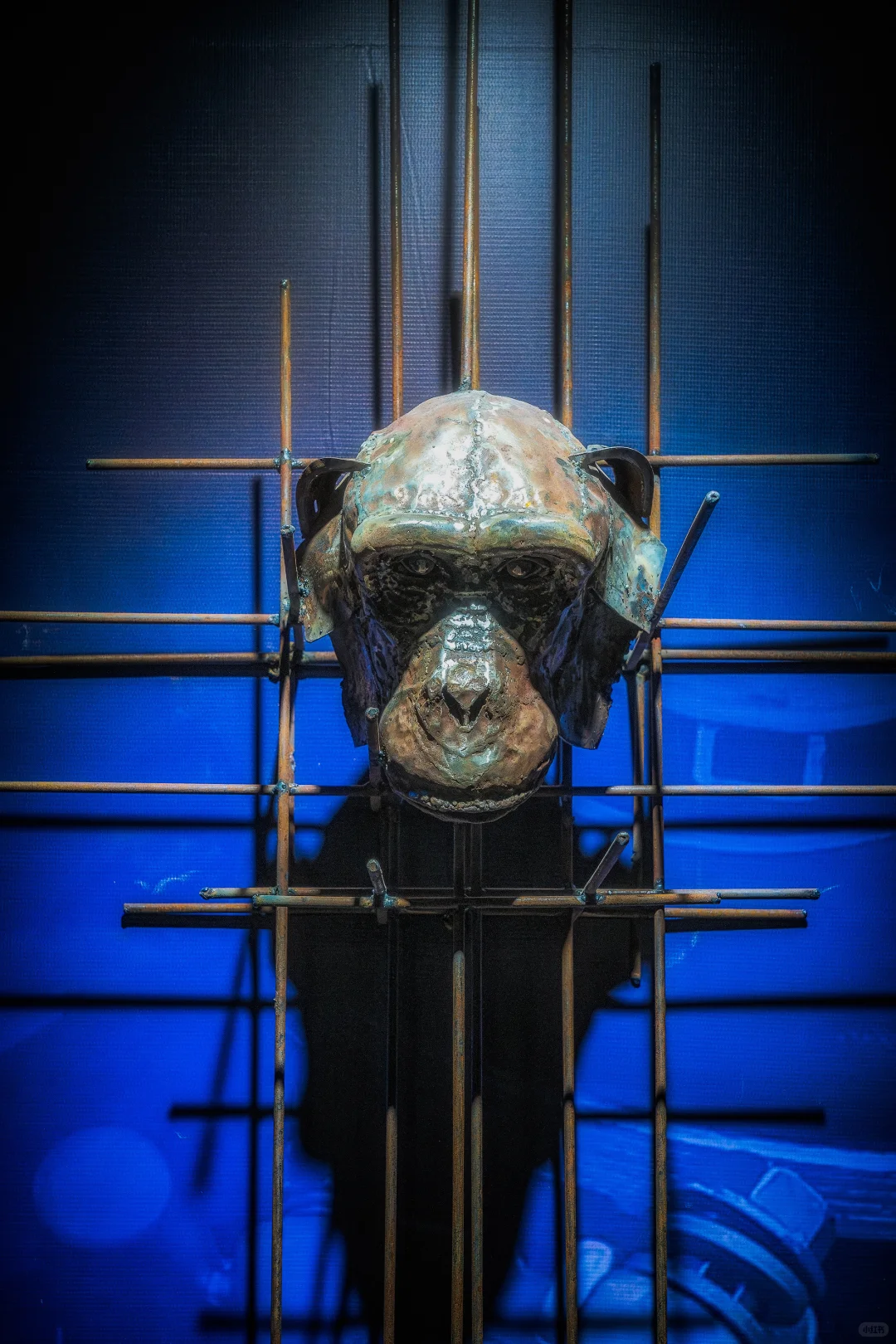 柳州博物馆展览?|蒸汽朋克展览太酷了✨✨