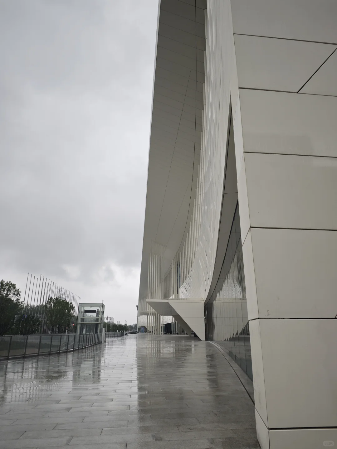 雨天｜参加2025北京国际商事法律论坛