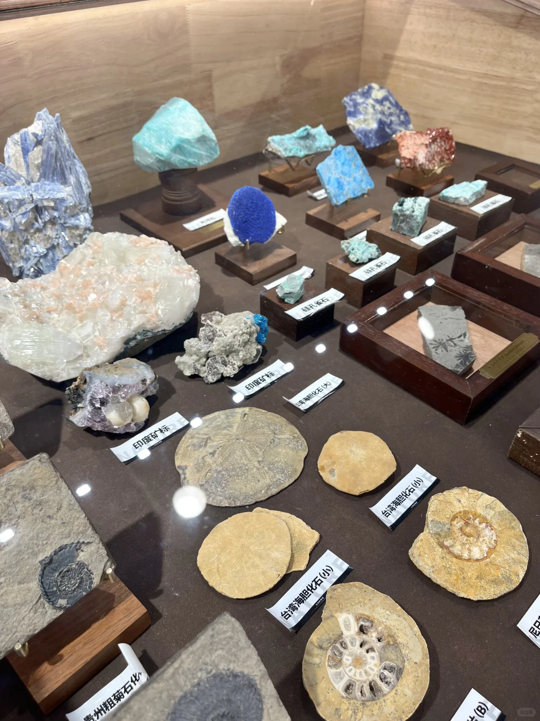 台风天?来看“设计深圳2025 ”?