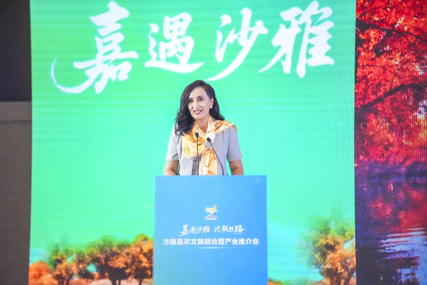 沙雅县农文旅融合暨产业推介会