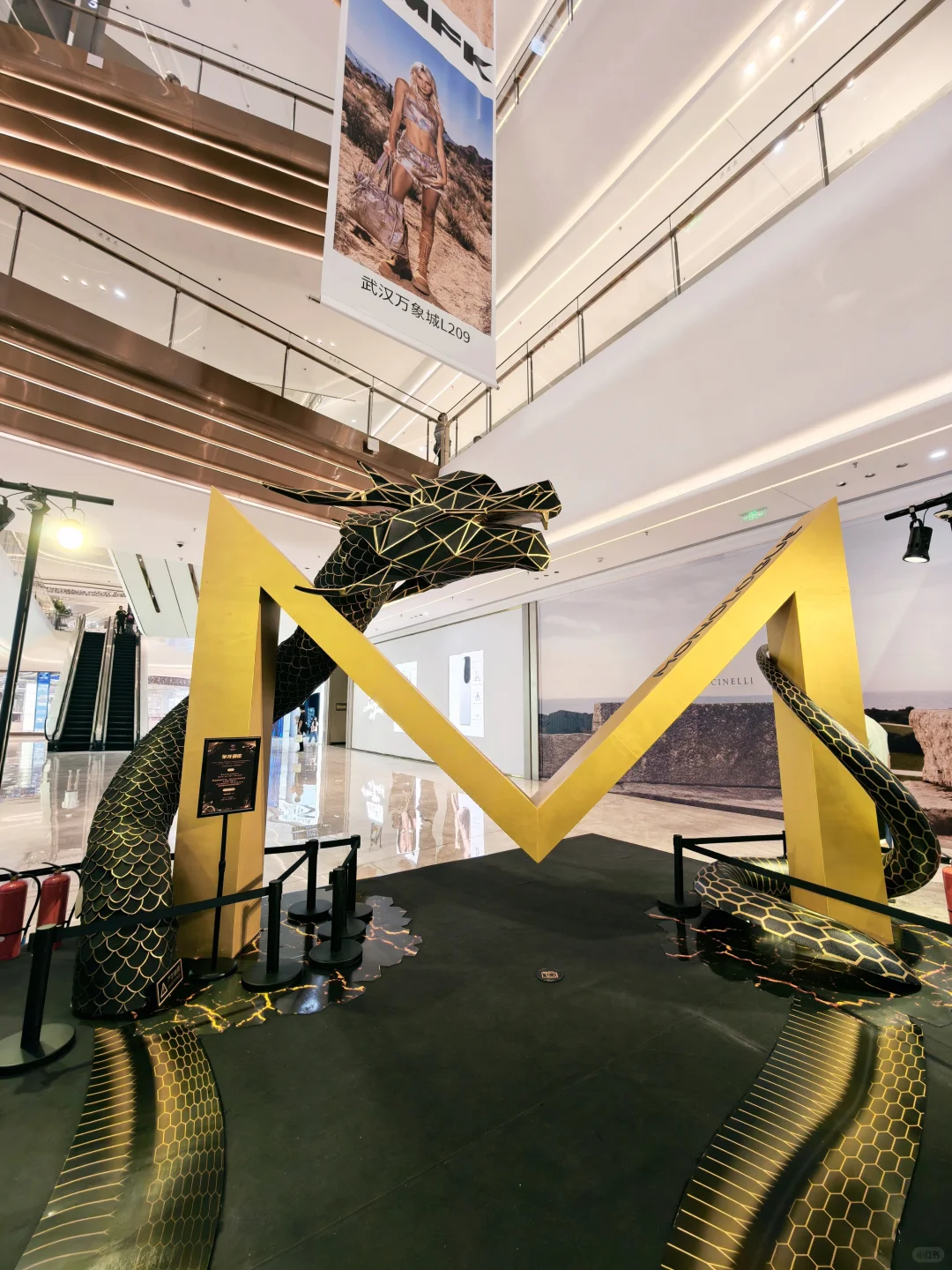 武汉养宠人集合啦！带毛孩子去逛这个展！