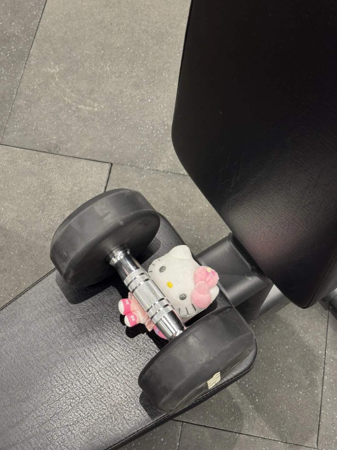 今年最后一练* ꉂ ･ ･ ☆