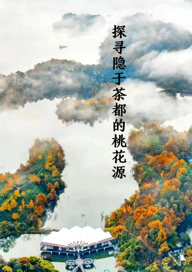 商业精英挑战赛文旅与会展赛道国赛获奖作品