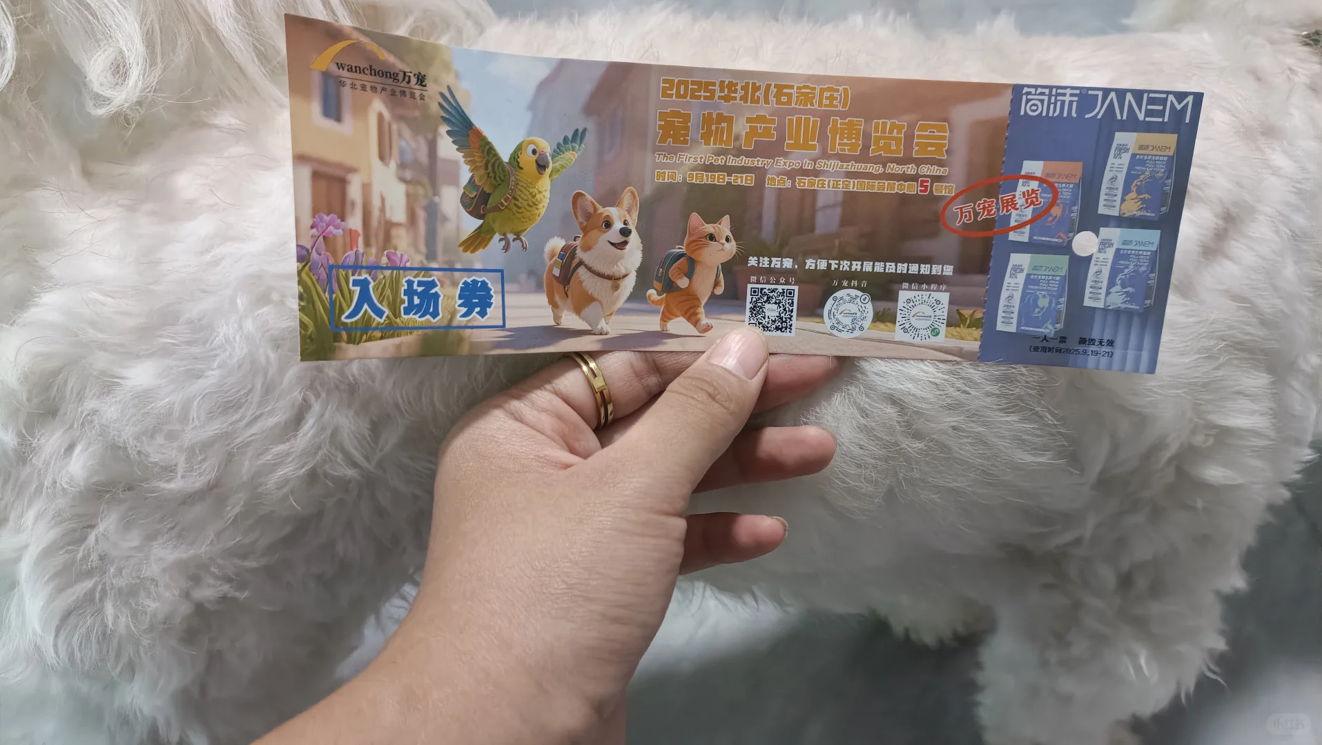 宠物产业博览会！！！