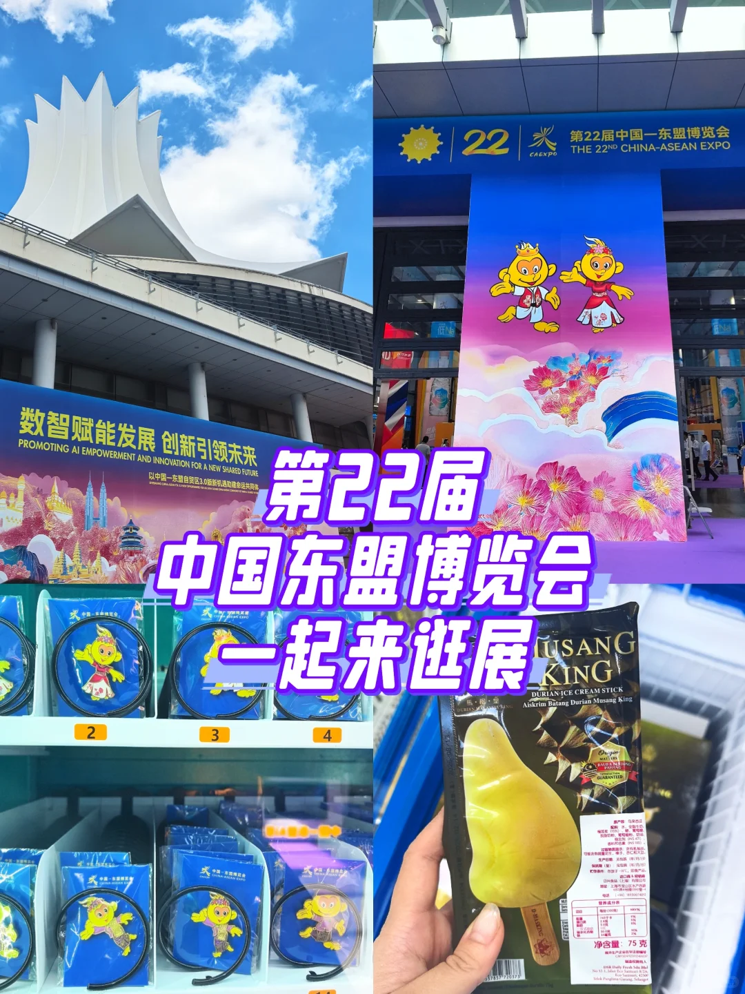 2025中国东盟博览会有什么东西可买？