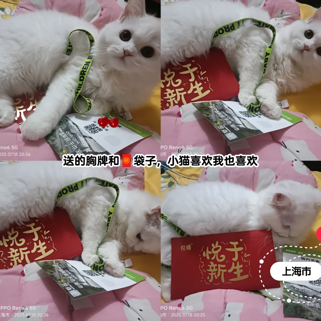 国家会展中心真的太大了