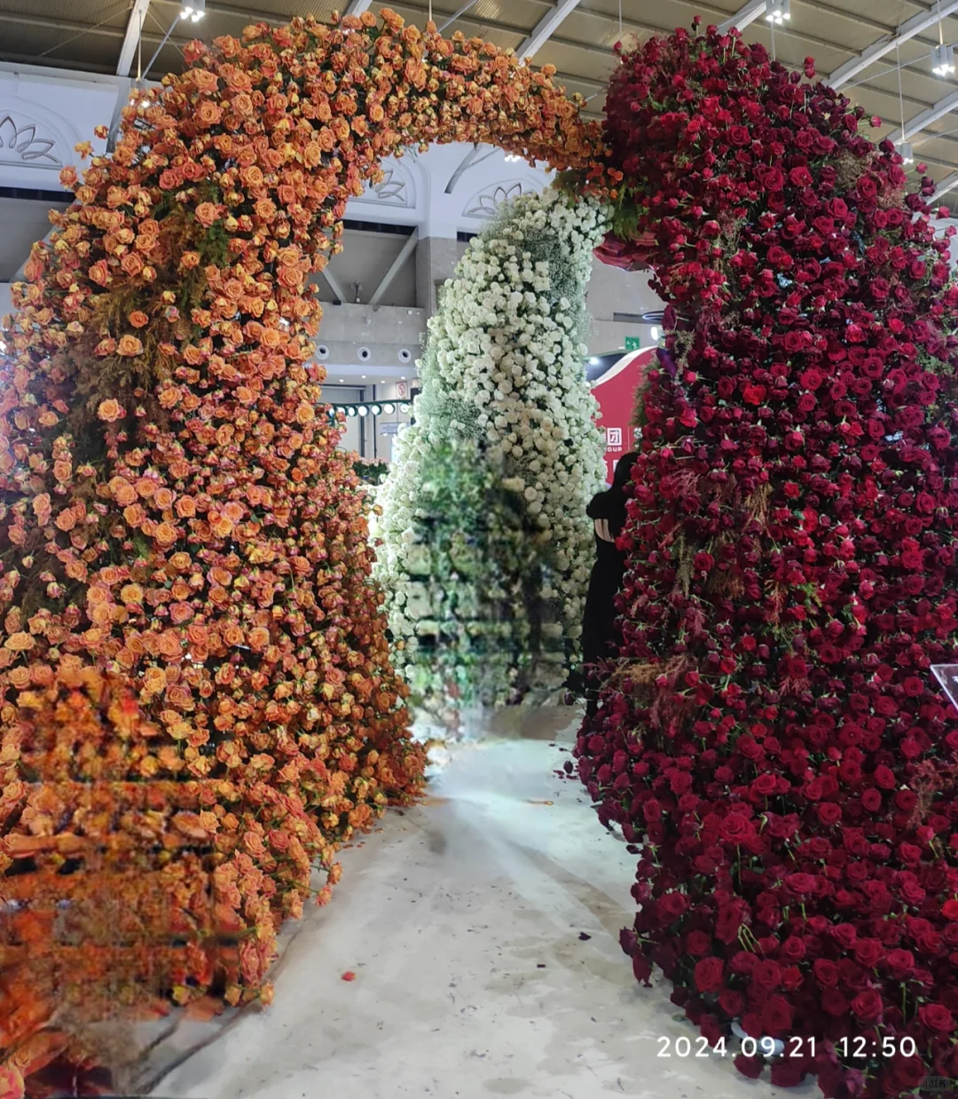 滇池会展中心的花卉展览