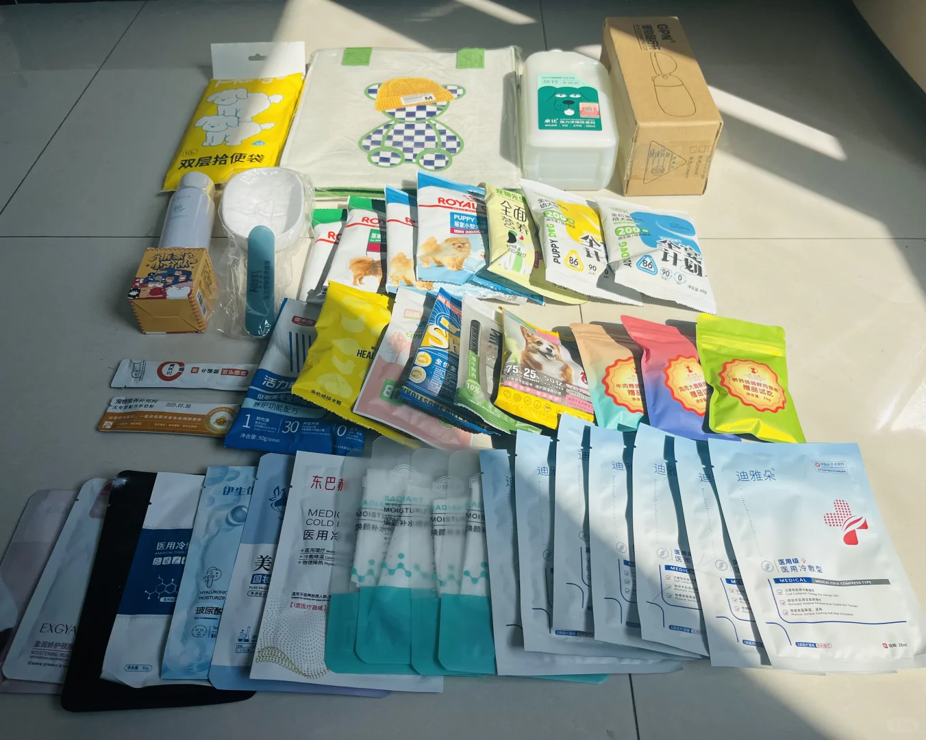 石家庄宠物博览会战绩