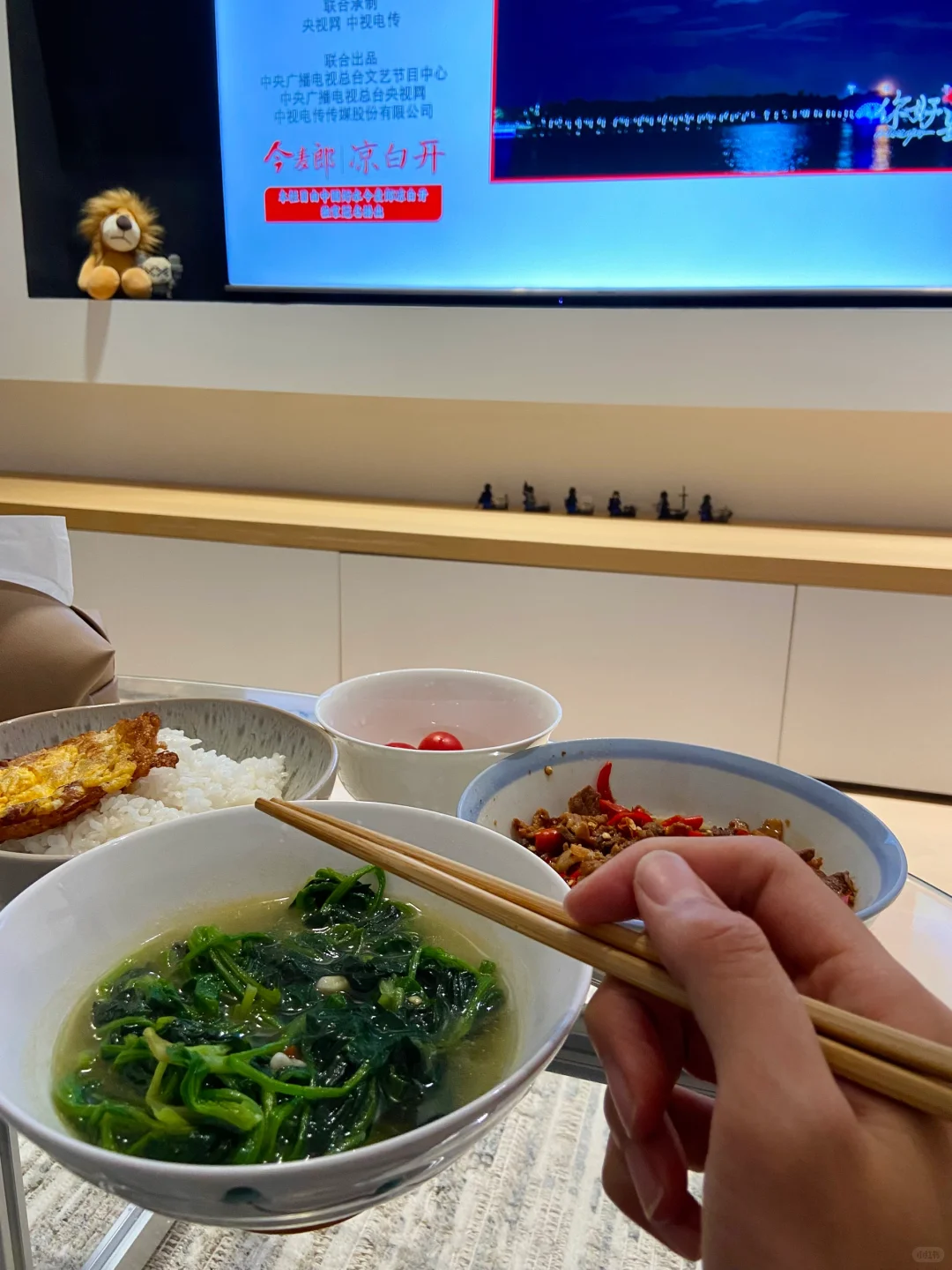 30岁一个人的摆烂生活