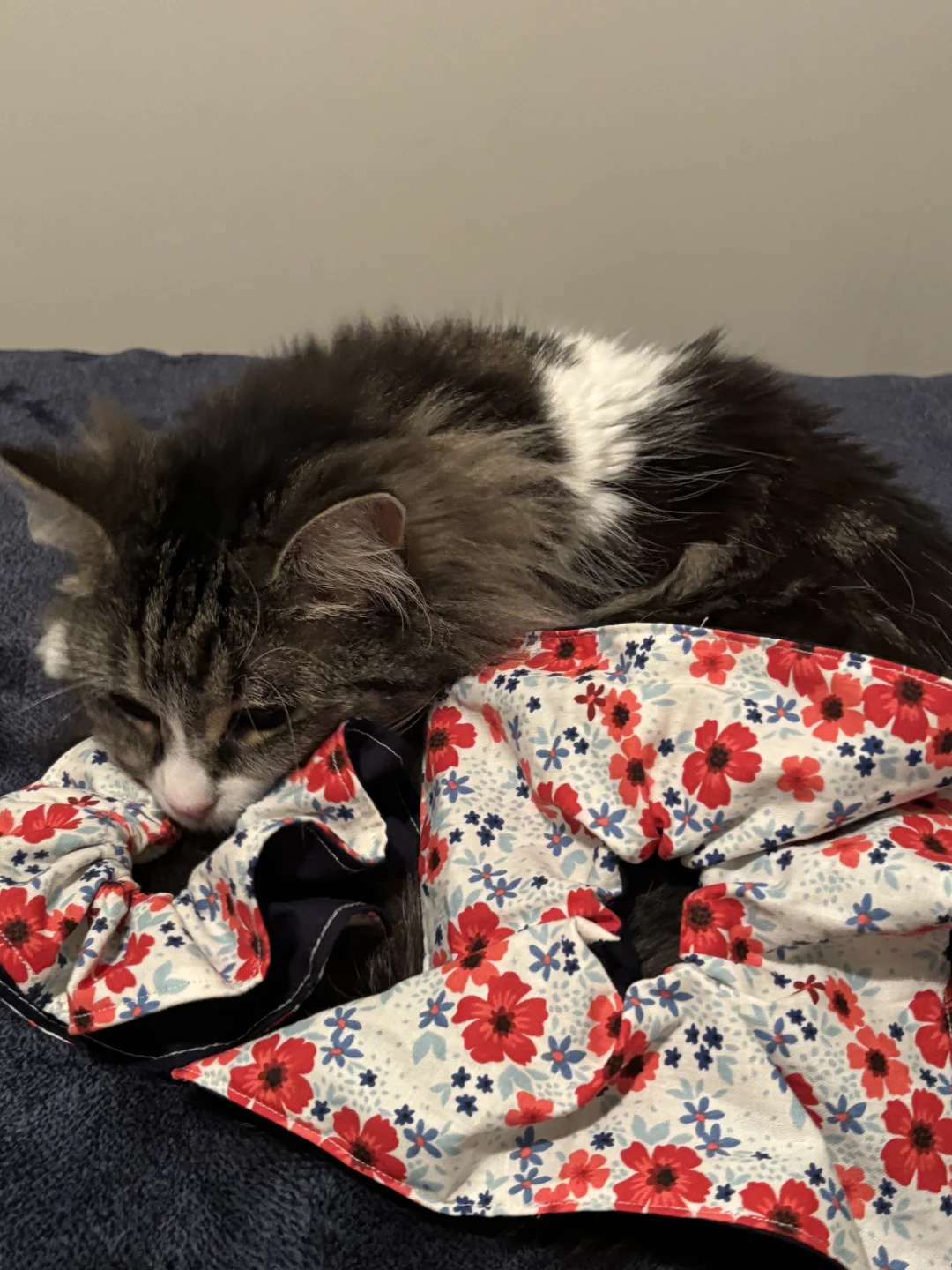 墨尔本90后失业少妇的缝纫大业