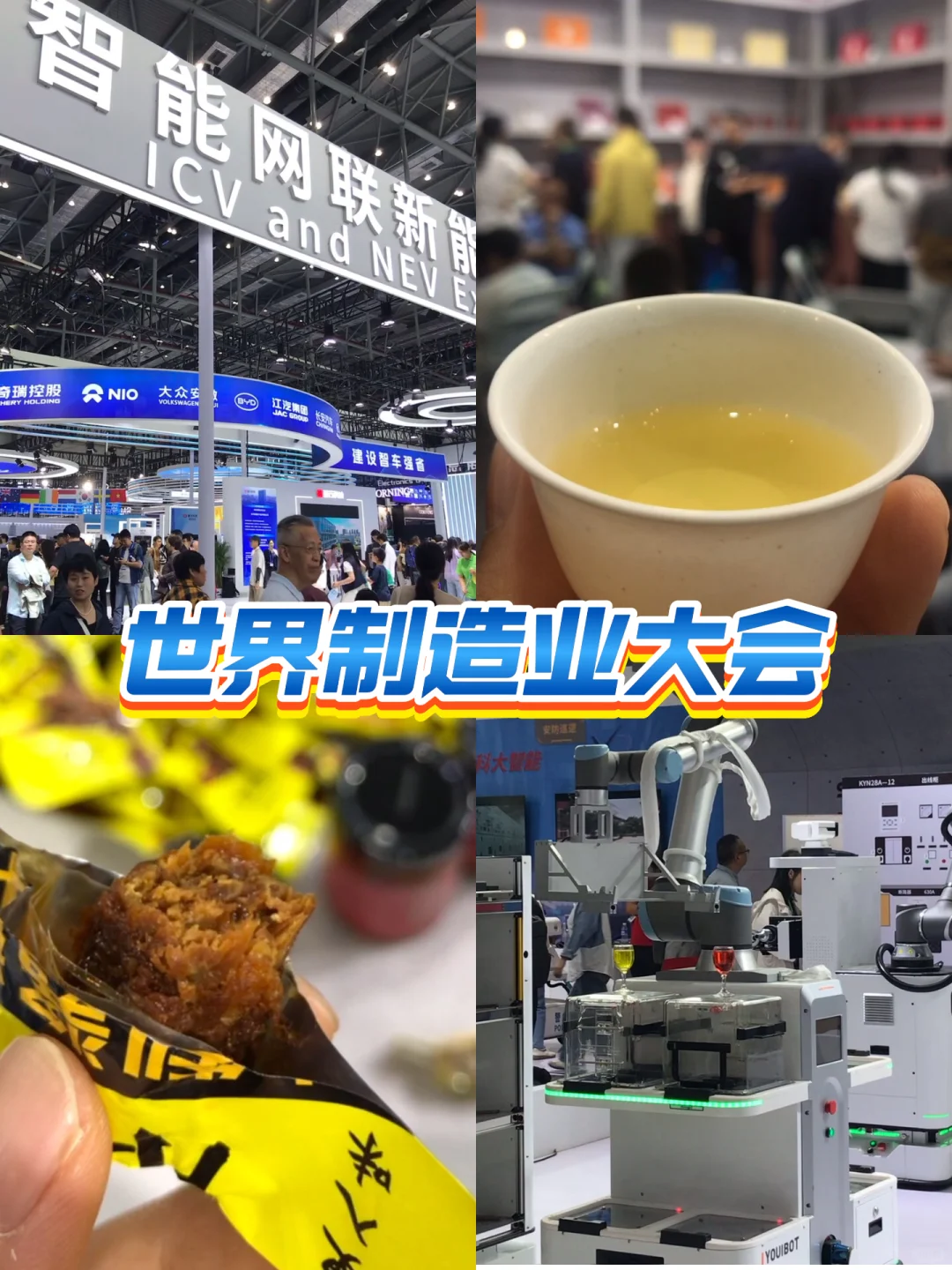 合肥“世界制造业大会”