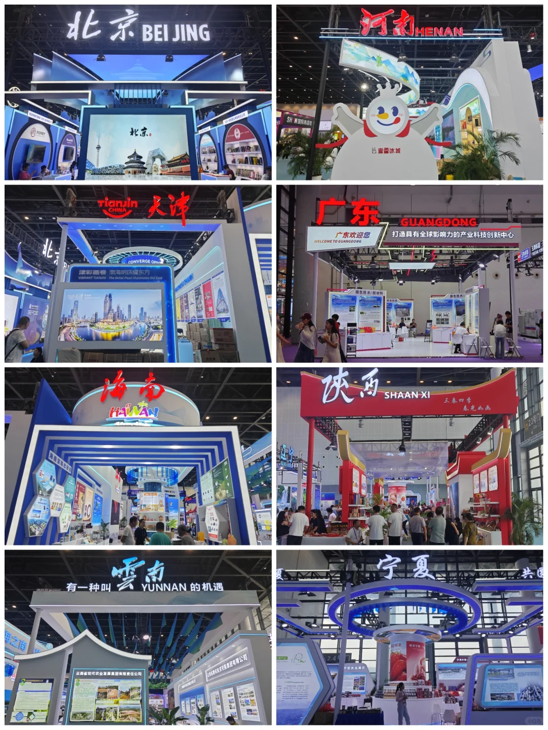 今年的东盟博览会，大家觉得怎么样？