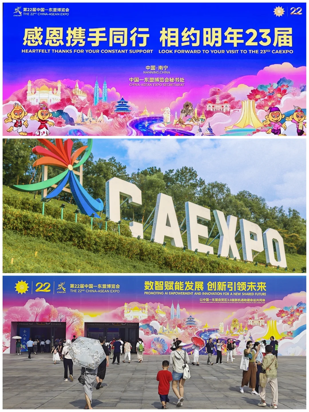 今年的东盟博览会，大家觉得怎么样？