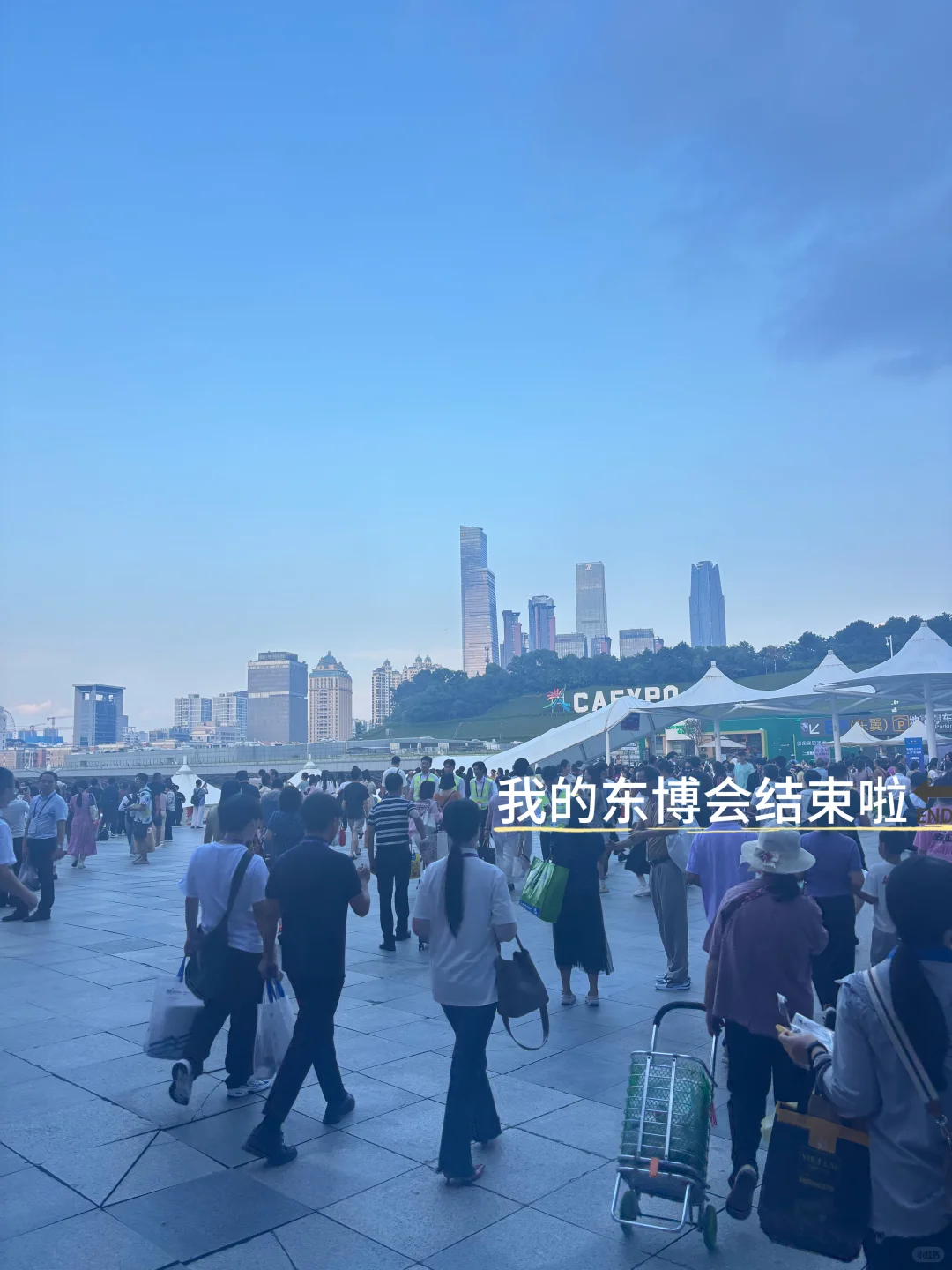 东博会明年再见啦