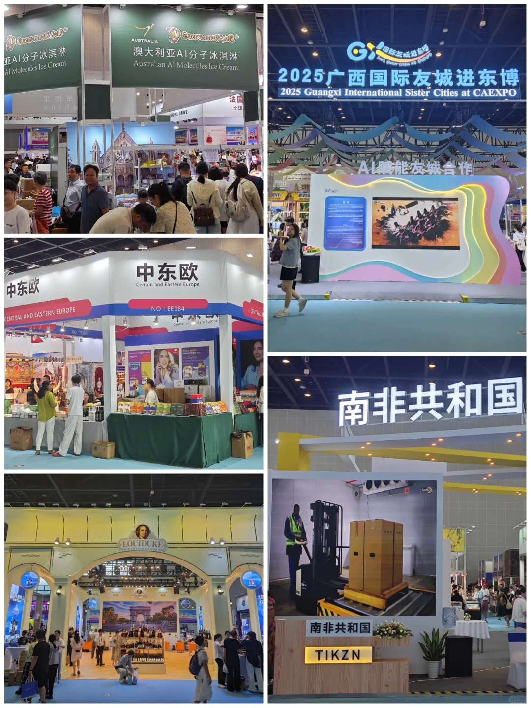 今年的东盟博览会，大家觉得怎么样？