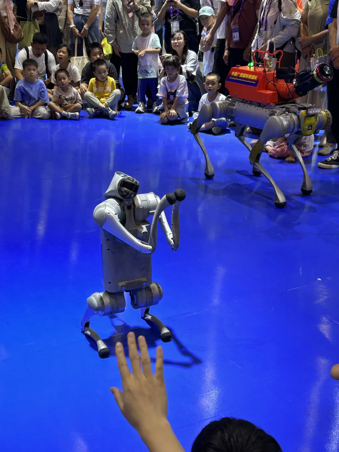 中国东盟博览会——第22届