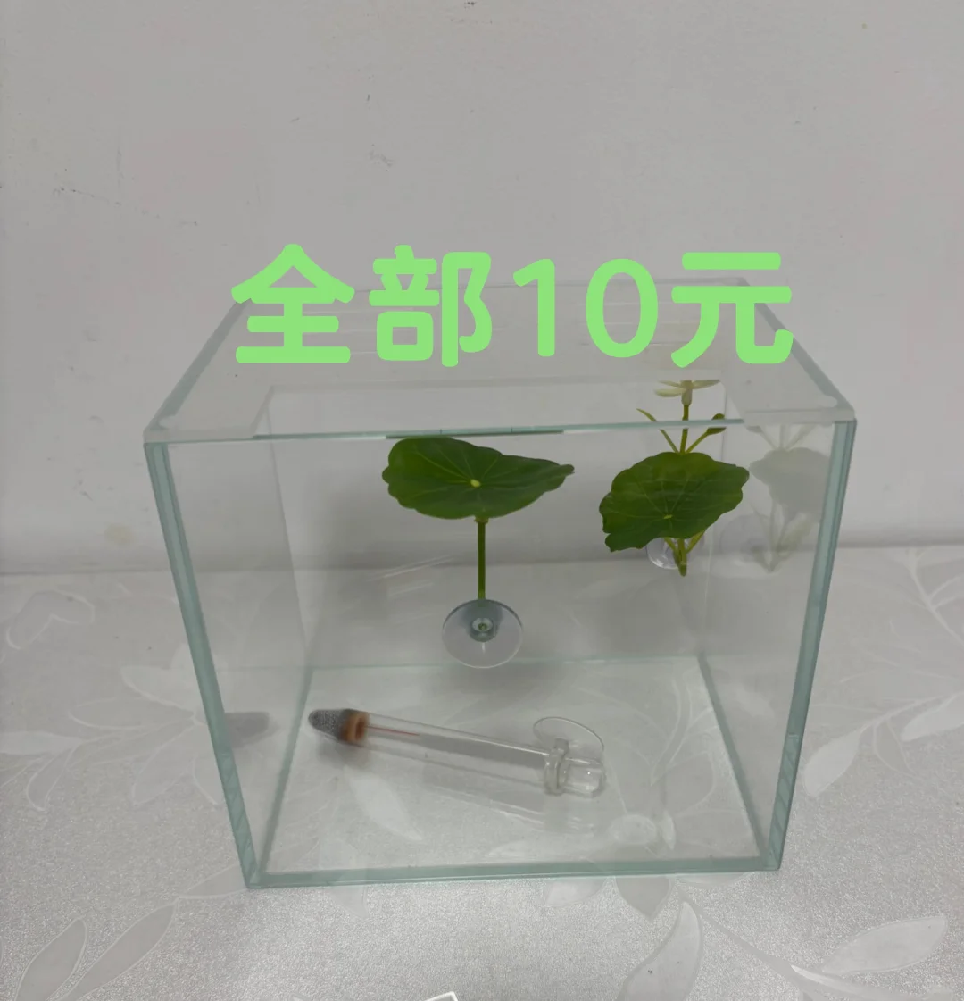大连会展中心搬家出闲置
