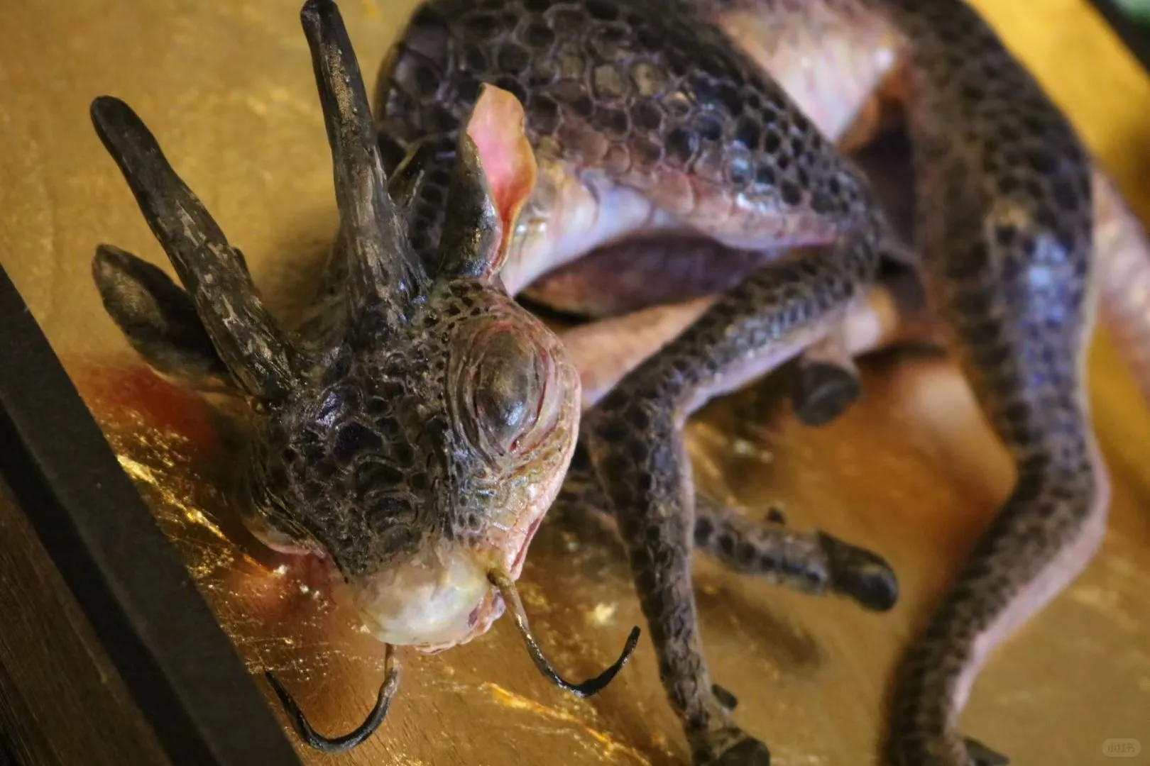 上海WF.懿晏摊位一览！