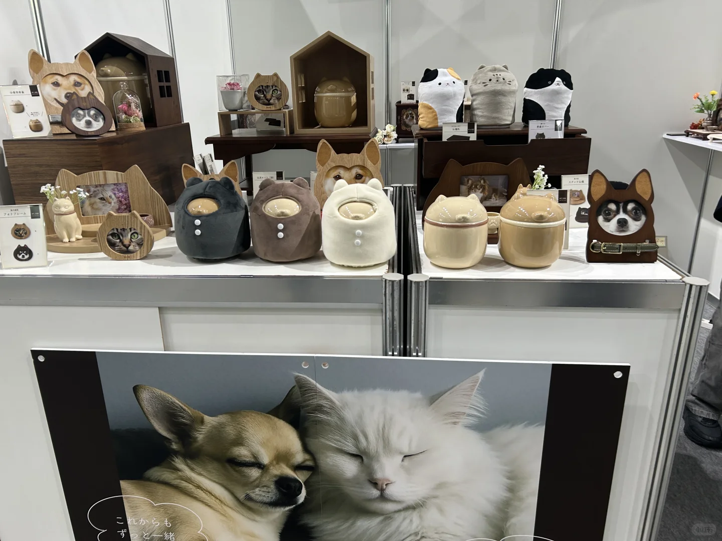 ??东京陪同翻译|日本终活产业展