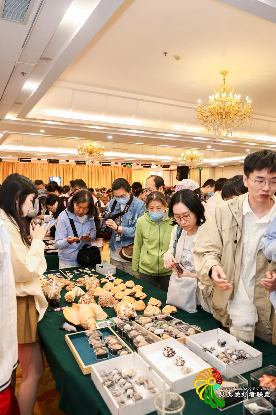 终于等到你~十一假期 国际贝展空降北京
