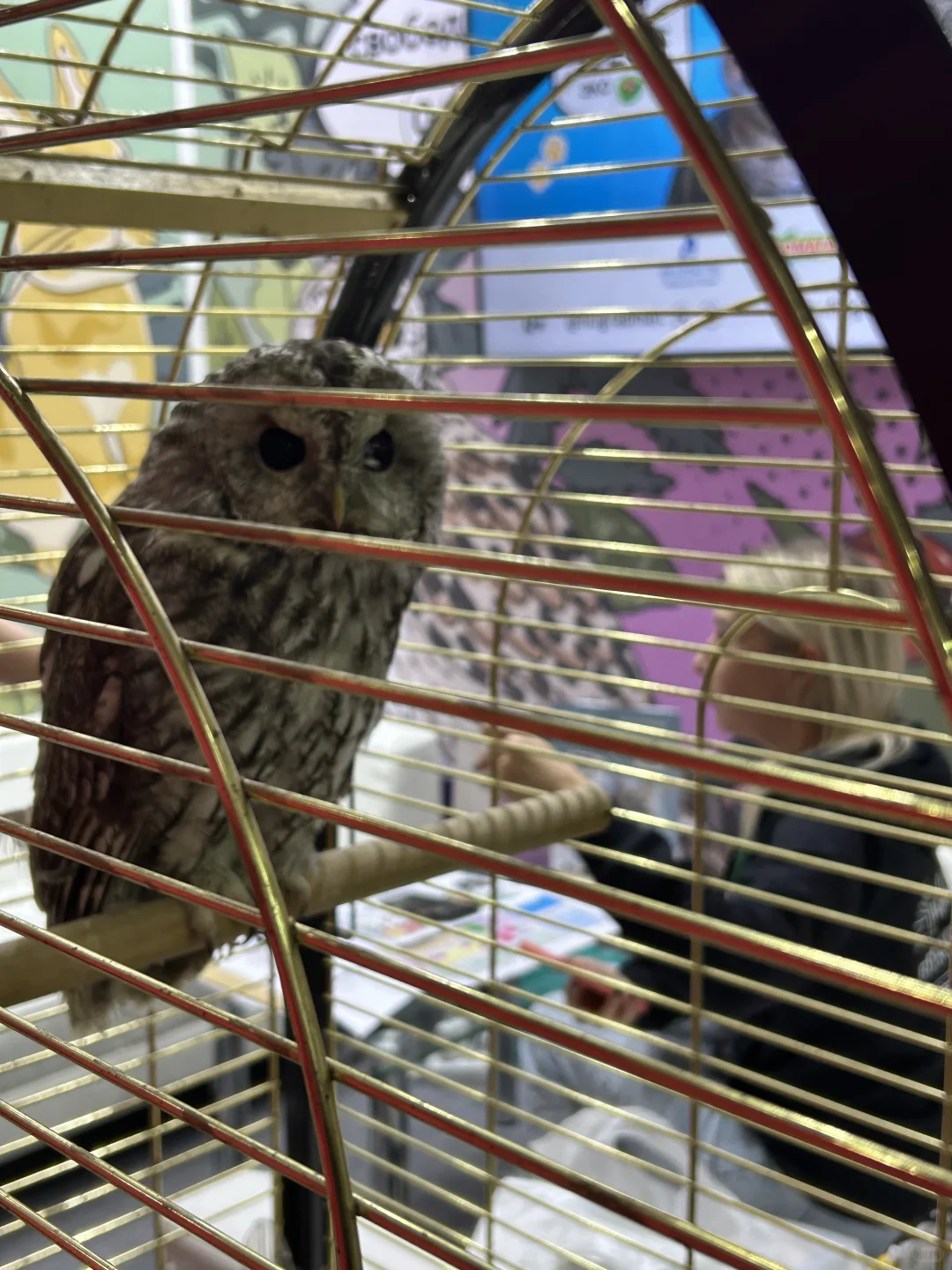 俄罗斯动物产业展