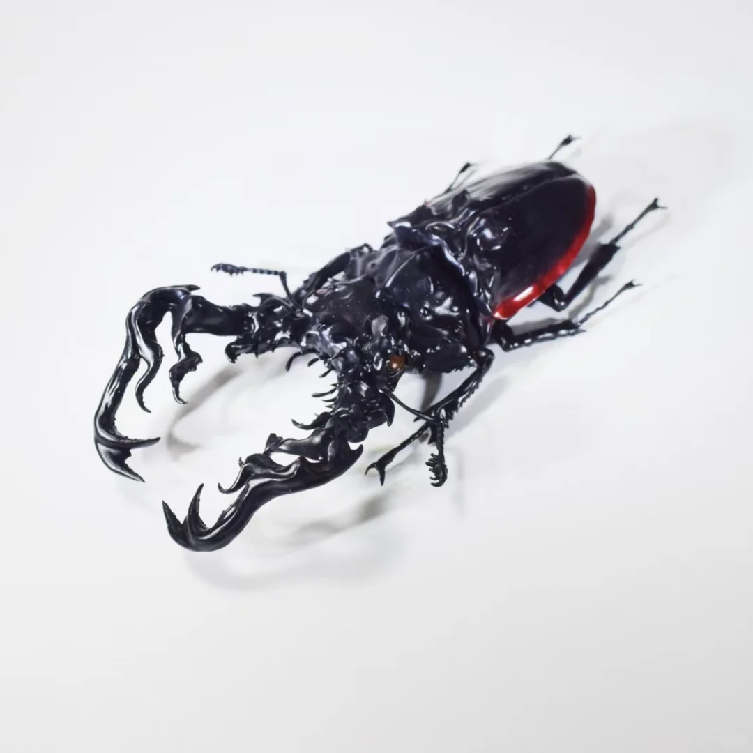 上海WF.懿晏摊位一览！