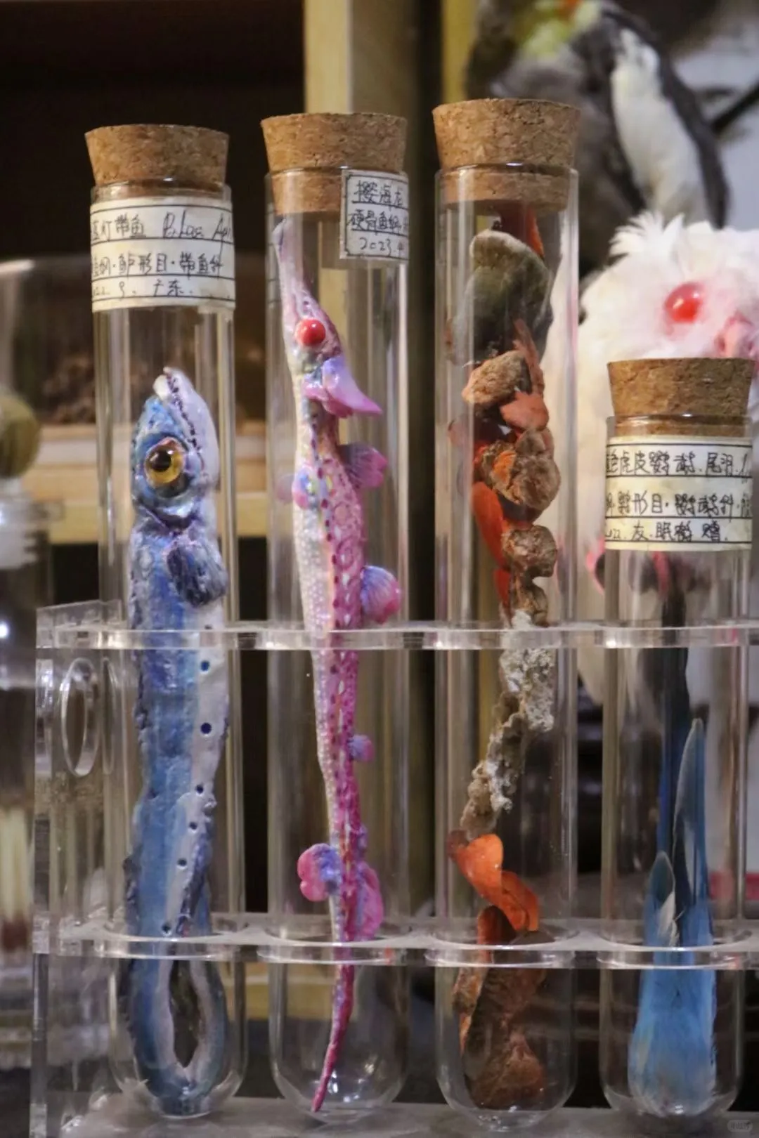 上海WF.懿晏摊位一览！