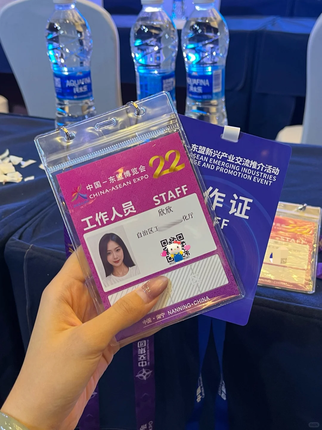 一年一度东盟博览会