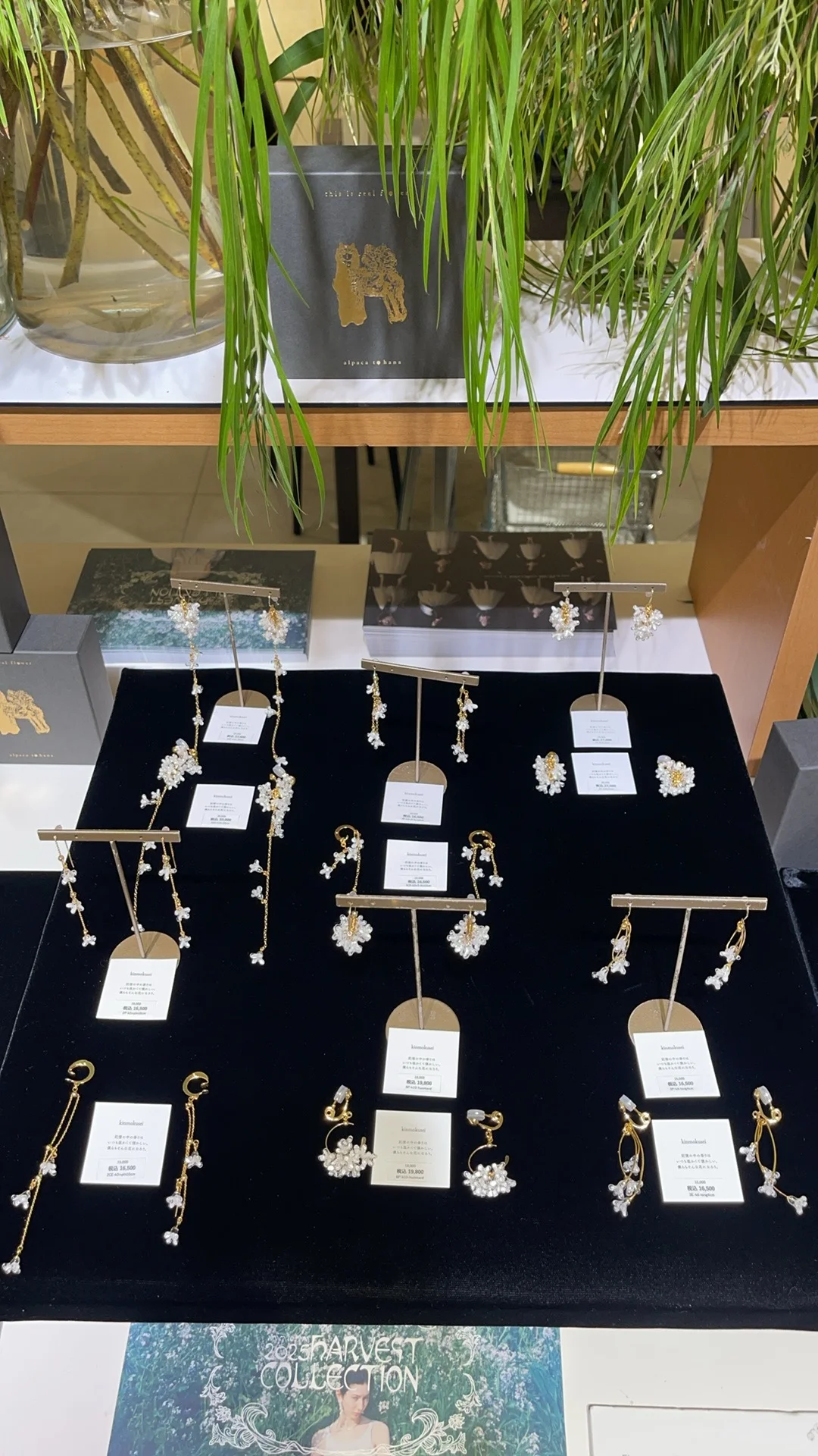 ?仙死我了！alpaca to hana最新款