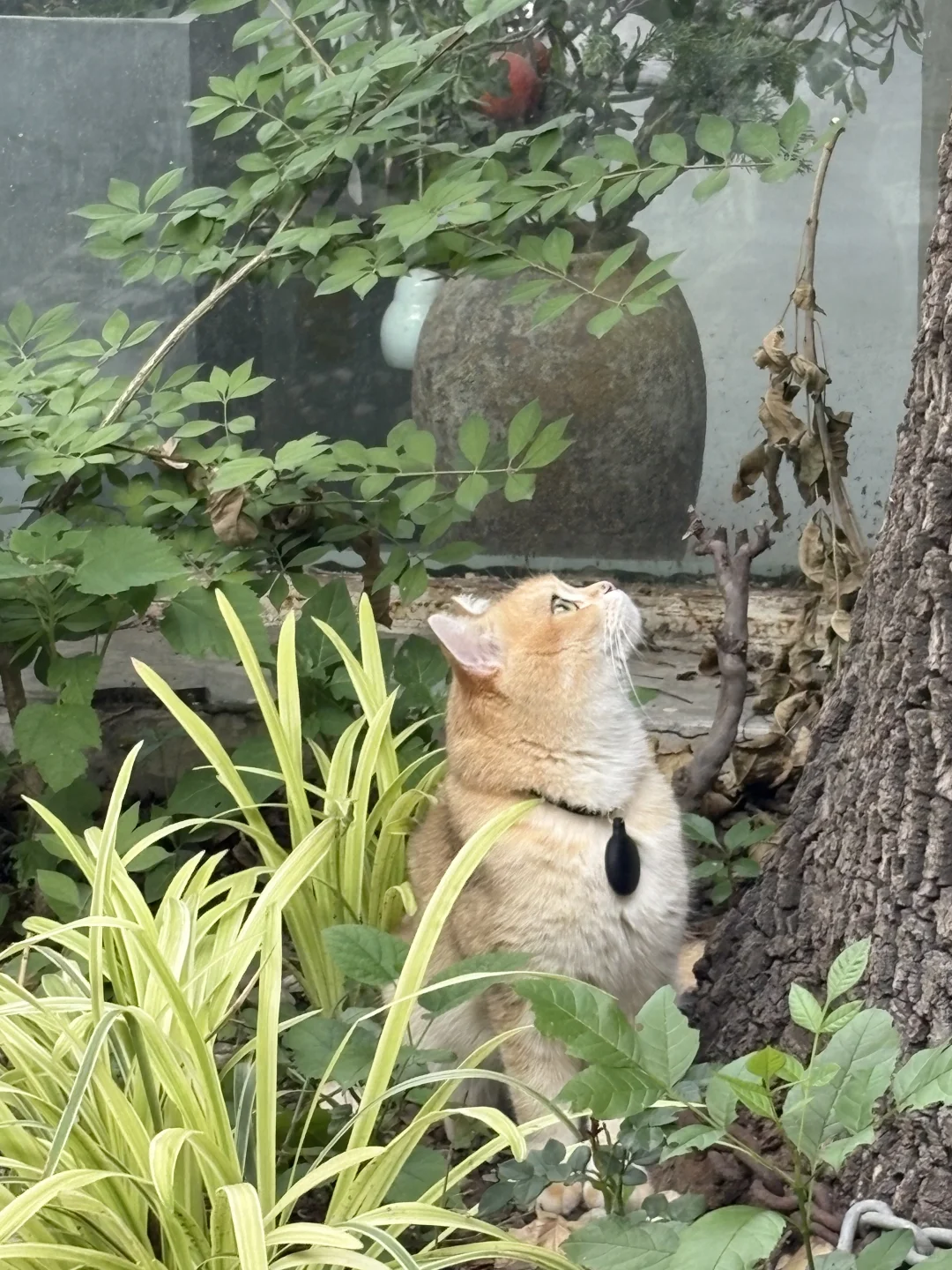 798新展｜霓梦幻境Neon Dreamland