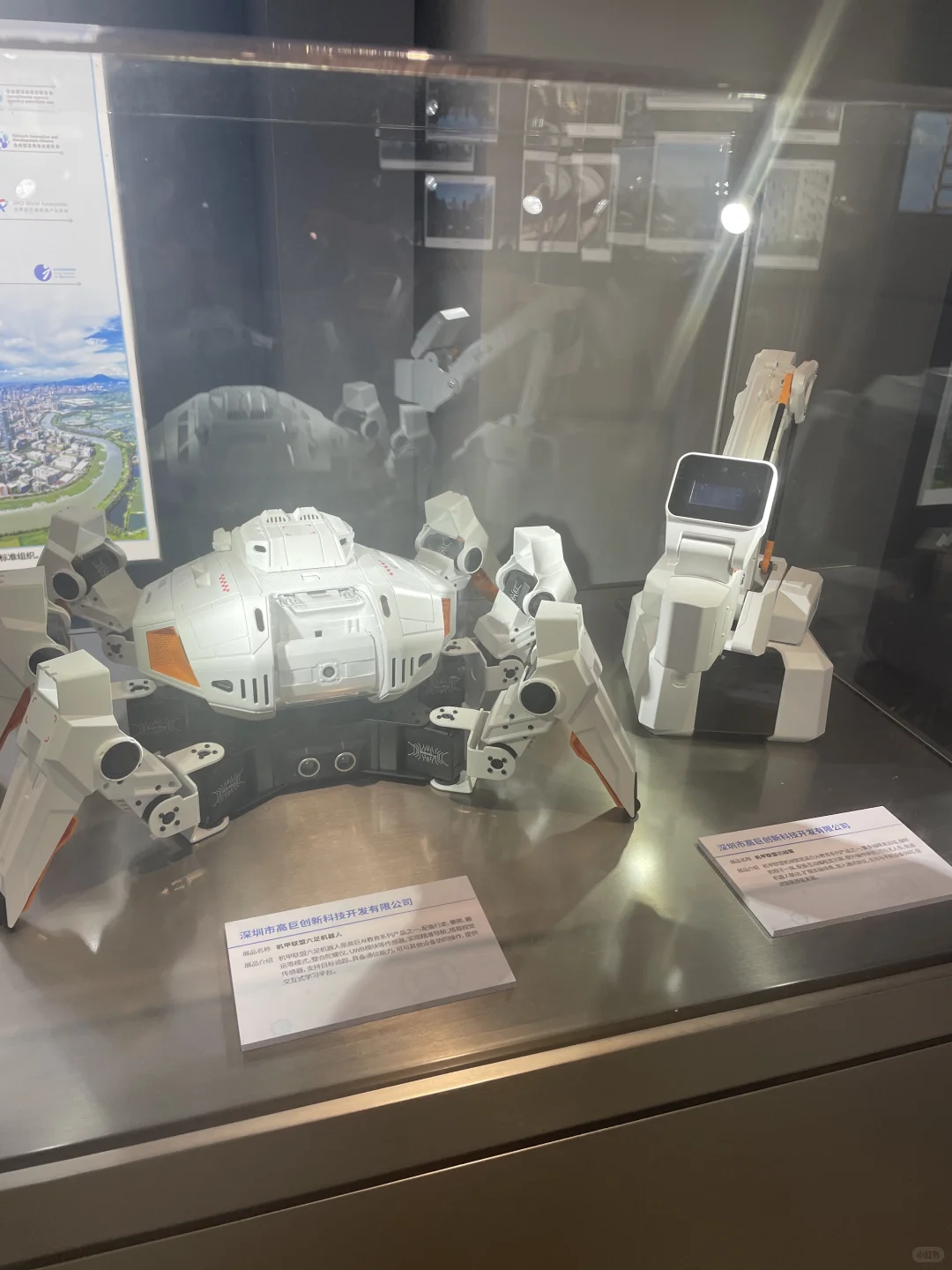 全球蕞大书城里的科技研学宝藏展,免费!