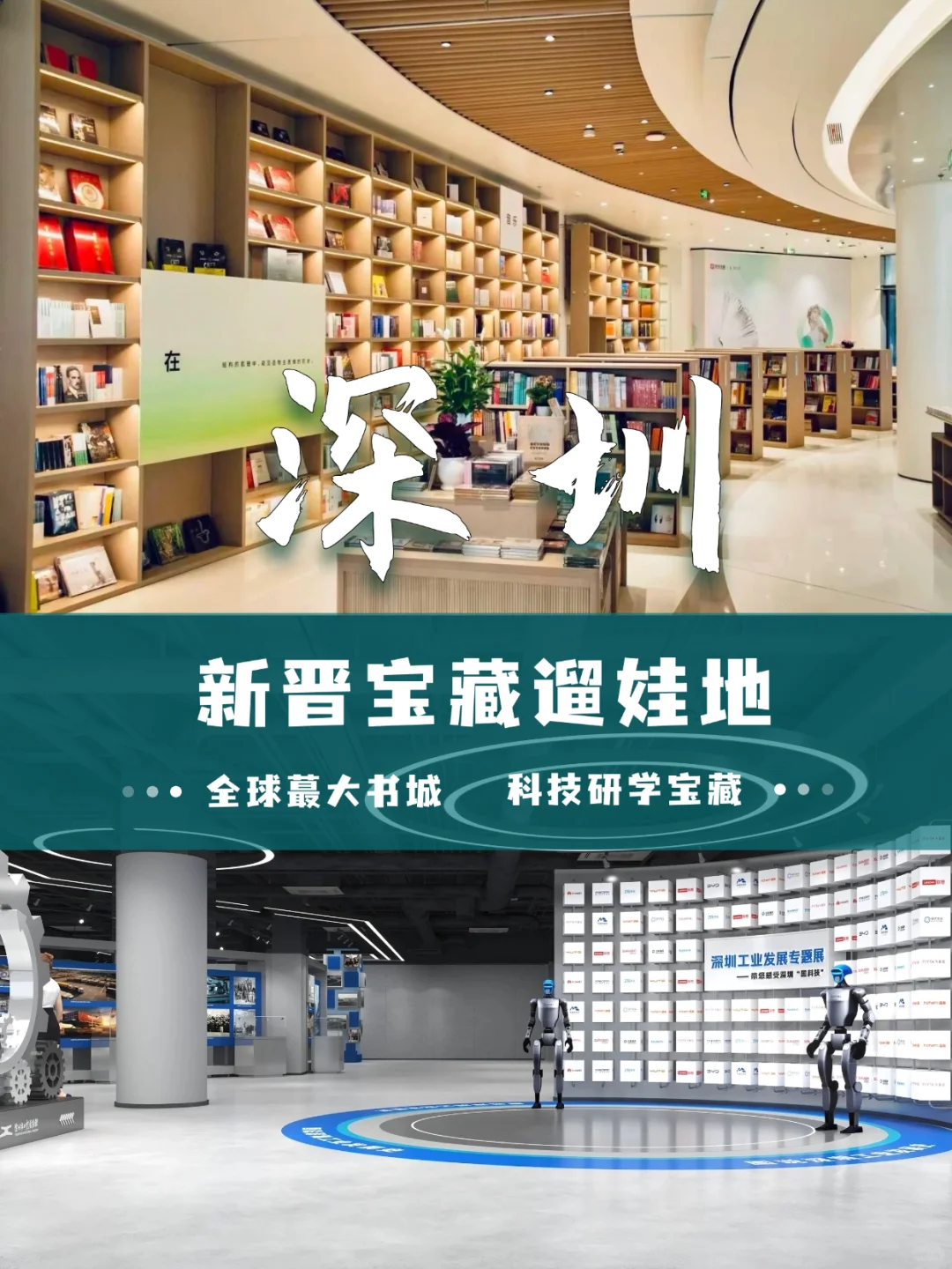 全球蕞大书城里的科技研学宝藏展,免费!