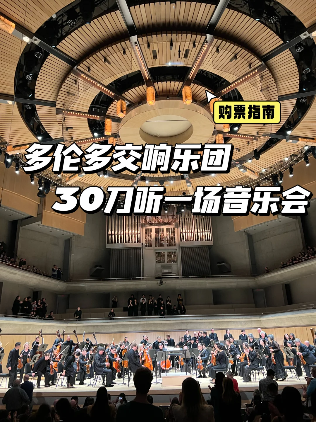 30刀一场音乐会!多伦多交响乐团购票指南?