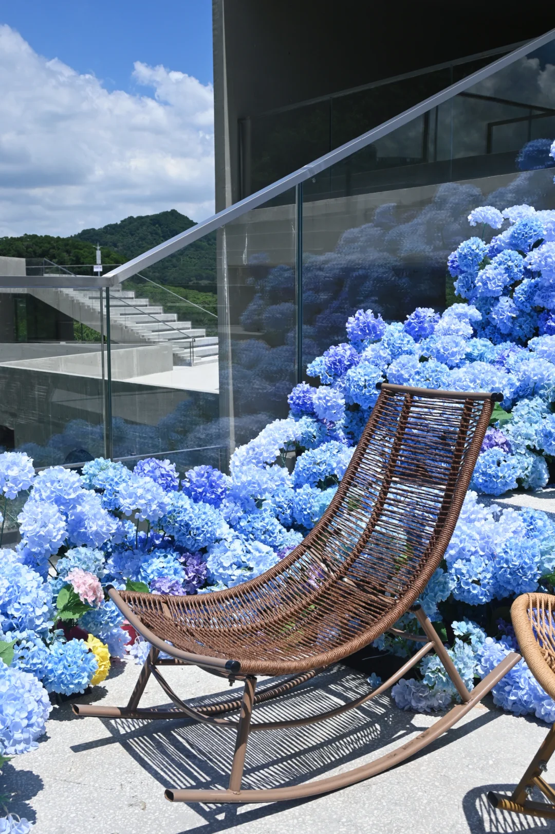 深圳免费新展｜拍照绝美的蝴蝶?艺术展！