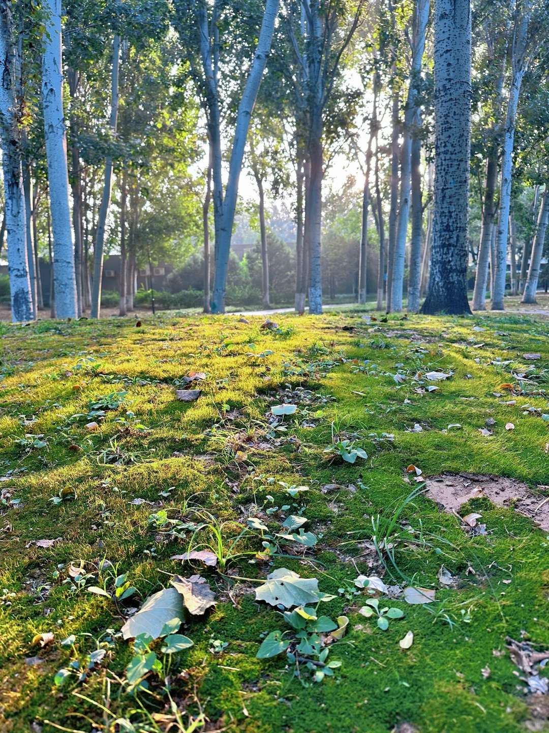 ber 你去工程机械展看什么?当然是看热闹!