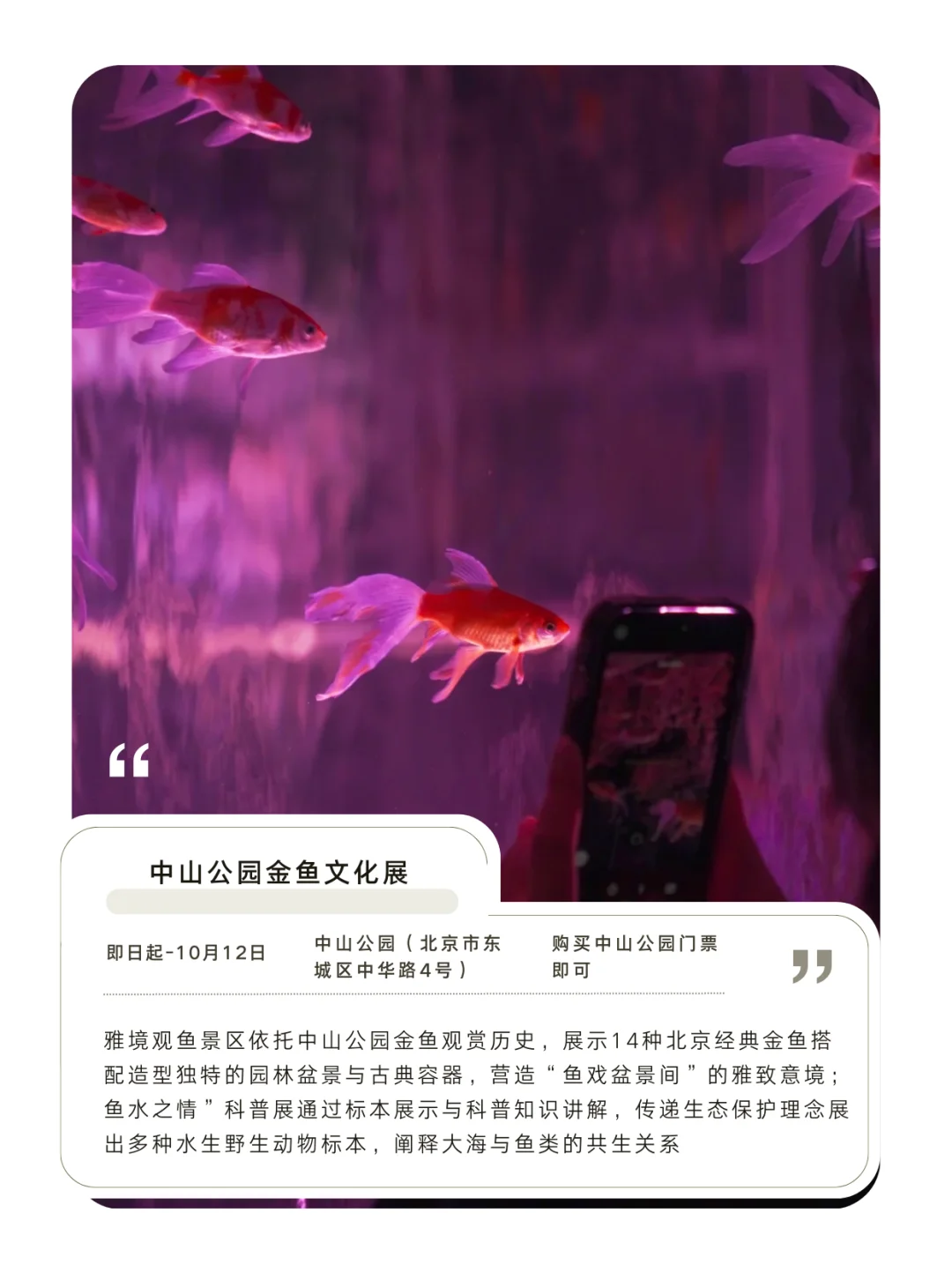 北京十一活动推荐!看这一篇就够了