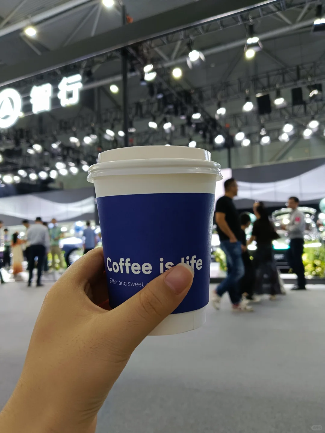 滨湖会展中心国庆节举办的车展大家都来了吗