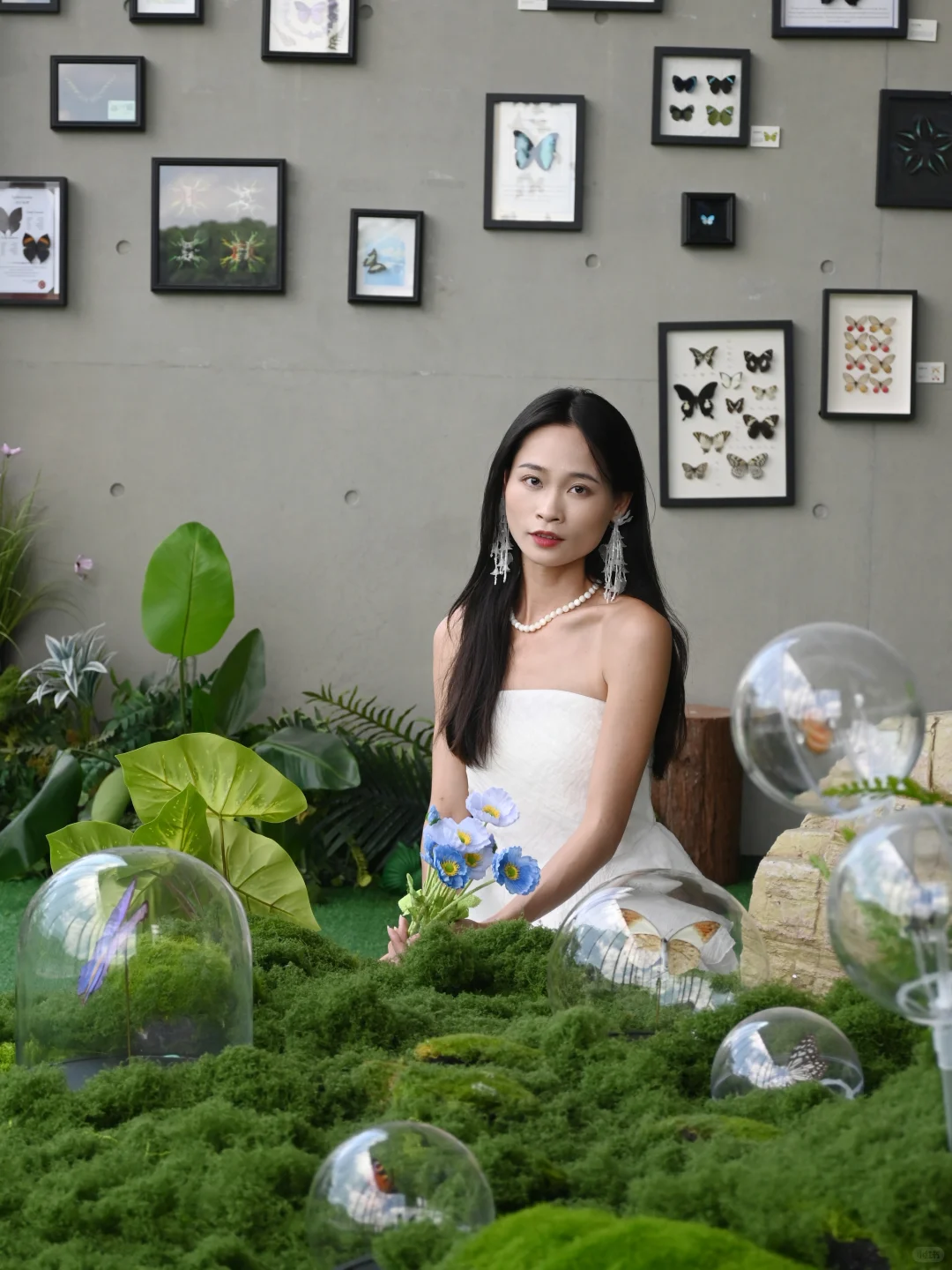 深圳免费新展｜拍照绝美的蝴蝶?艺术展！