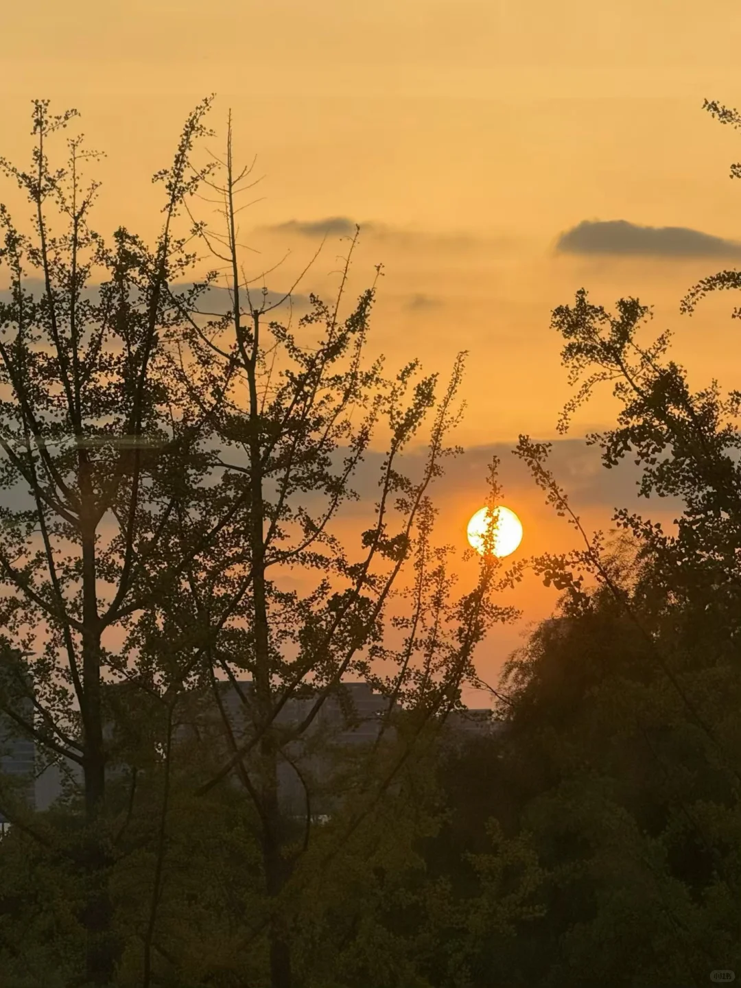 工作如此｜来了！很震撼！世界互联网大会！