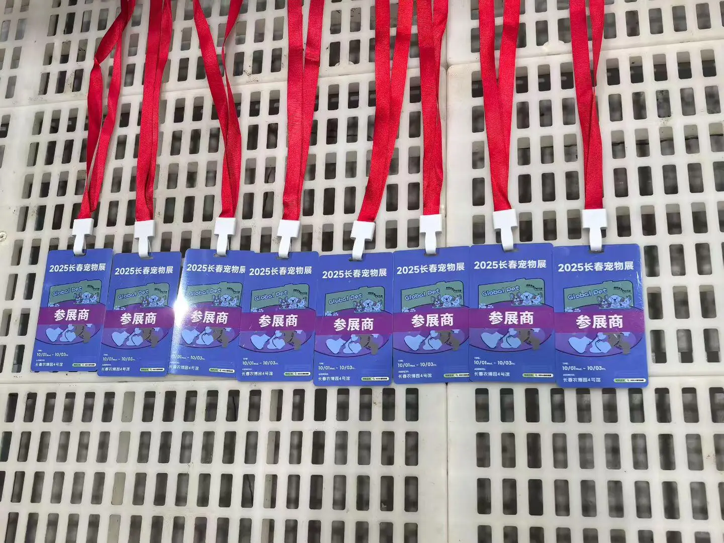 十一假期来长春宠物展与小狼相遇吧～