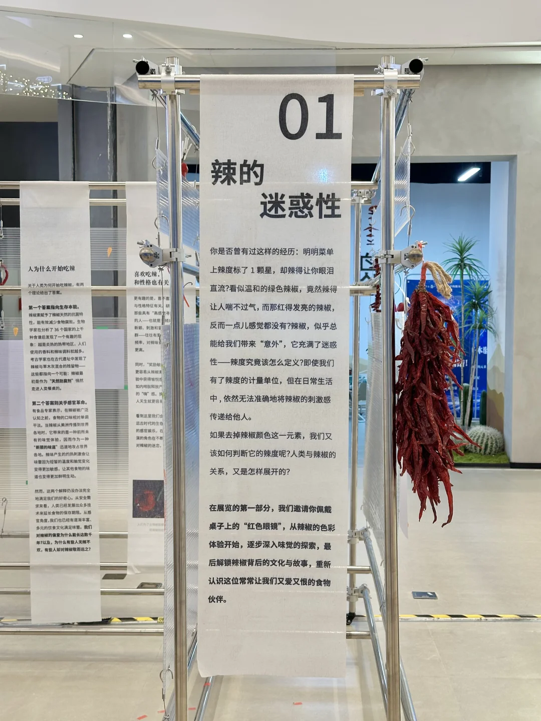 重庆真的不缺有意思的展。。。