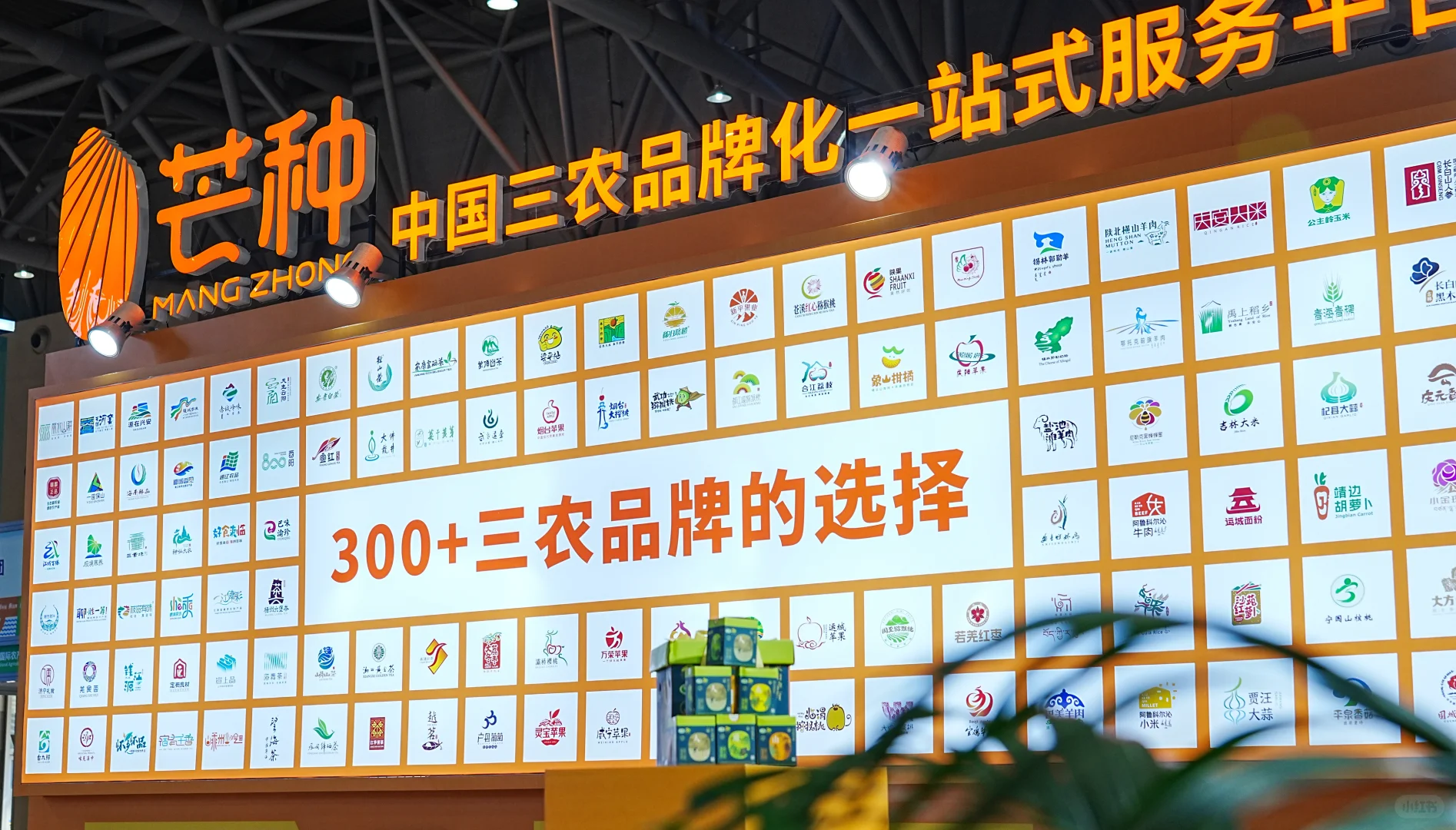 重庆悦来农产品交易会